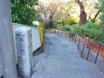 庶民目線だと「暮らしにくい」？　横浜を代表する高級住宅街「山手」のリアルな姿