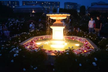 水面いっぱいにバラの花　13年ぶり夜間営業　京成バラ園でライトアップ