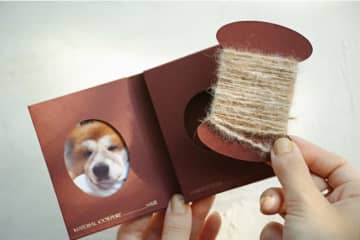 “うちの子”の抜け毛から糸を作るサービスが登場…飼い主はどう楽しむ? 担当者に聞いてみた