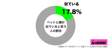 20代女性の3割が「ペットと顔が似ている」　周囲から言われて気づくことも