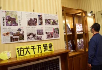 狛犬の個性あふれる姿紹介　神社2000社超巡り記録した山元さん企画展　千葉・市川