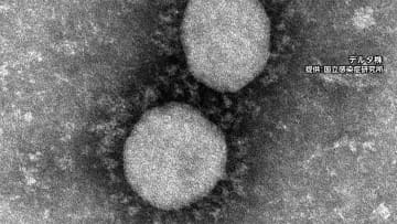 全国の感染者 2日連続で1万人超える　死亡は9人