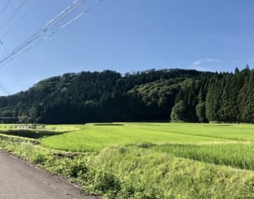 地方民の休日が「イオンかパチンコ」になる理由　都会モノにはわからない地方の感覚