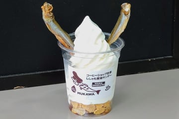 珍品ソフトクリームの衝撃度！カキフライにふなずし!?