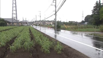 児童死傷の道路 30kmに規制　千葉の通学路 再発防止へ
