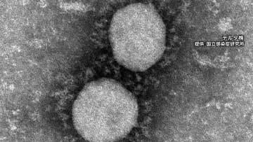 全国で新たに1万6000人超感染　重症者1521人 2日連続で過去最多