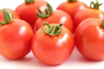 トマトには血栓予防 サバ缶の効果高める食べ合わせレシピ5選