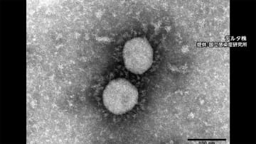 全国の感染者2万人に迫る　重症者も5日連続で最多 自宅療養者の死亡相次ぐ