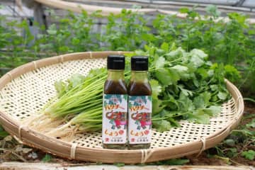 パクチー香るしょうゆ誕生　万能調味料、CFで先行販売　山武・大高醤油が開発