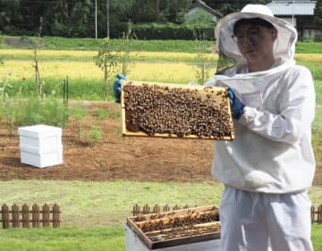 搾りたて蜂蜜いかが　9月1日に観光施設オープン　蜂蜜酒の醸造、試食ツアーも　千葉・君津