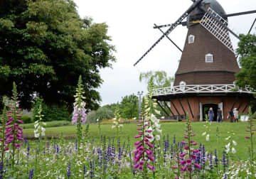 「ふなばしアンデルセン公園」休園へ　9月6～30日　船橋市