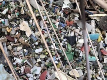 「プラスチックごみ」減らせるか　レジ袋に続いて見直されるストロー、歯ブラシ