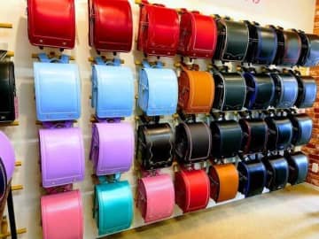 「ラン活」いつの時代から激化　高価でも...わが子にとっての「一番」求めて