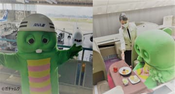『めざまし8』『FNN Live News days』『Live News イット！』『FNN Live News α』で｢アクション SDGs ウイーク｣ 実施！