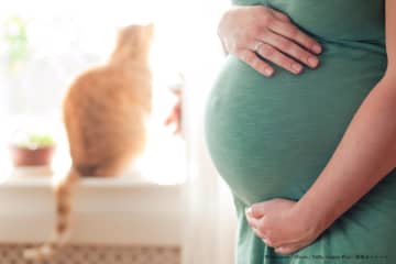 妊娠9ヶ月にして胎児が死亡する悲劇　飼い猫由来の「先天性トキソプラズマ症」か