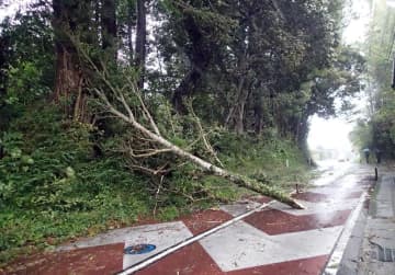 台風16号千葉県内に猛威　千葉・稲毛区など1万5000軒停電　交通乱れ、銚子で最大風速41.8メートル