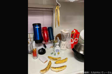 地震直後のキッチン、落ちていた物が想定外すぎる　「一番の被害者」の正体は…