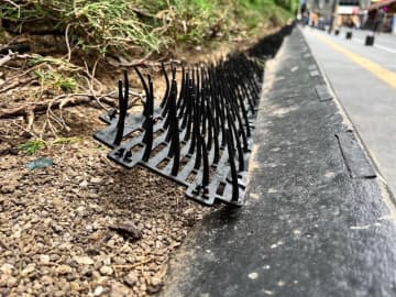 東京・歌舞伎町「トー横」に異変　若者がたまる道路わきに「トゲ付きシート」