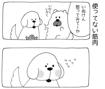 【漫画】まいにちいぬけん vol.6