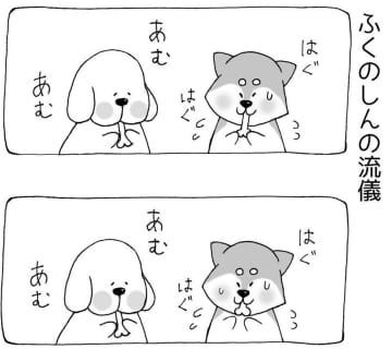 【漫画】まいにちいぬけん vol.7