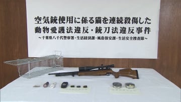 「ネコ80～100匹撃った」空気銃でネコ殺傷の男に「懲役1年6カ月」求刑