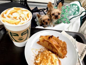 【スタバ】アメリカンアップルパイはホイップとキャラメルソースとシナモンパウダーを添えて！