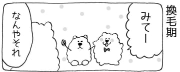 【漫画】まいにちいぬけん vol.12