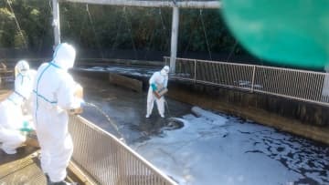 宮内庁の鴨場で鳥インフル　関東での確認は今シーズン初