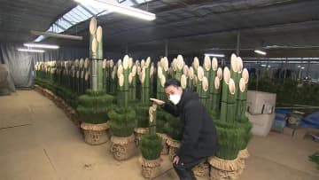 正月に向け 門松作り最盛期　コロナ影響? 小型の発注増