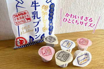 ミニサイズのプリンがかわいくて美味！　ふわぷる食感にほっぺがとろけちゃう　千葉県産牛乳を使ったかわいすぎるプリンを実食してみました！