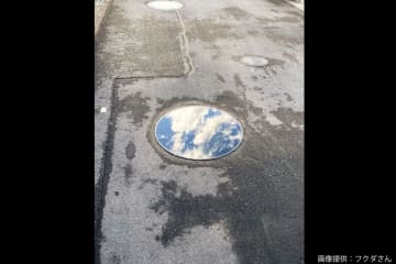 雨上がりの道端に「とんでもない落とし物」が…　ケタ違いのスケールに驚きの声