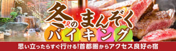  年末年始はゆっくりできない！お休みじゃない！そんな方にお薦め。年明け落ち着いた頃、思い立ったらすぐに行ける。大江戸温泉物語 山梨・群馬・千葉の3つの宿 　  