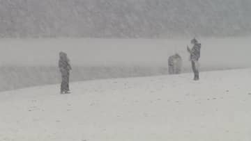 東京都心で積雪10cm観測　4年ぶりに「大雪警報」発表