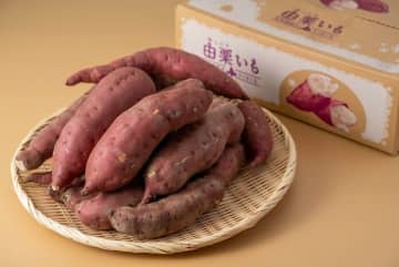 北海道でもさつまいもとれるのをご存じですか？　「由栗（ゆっくり）いもフェスティバル in YUNI」由仁町・栗山町