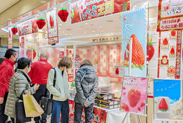 イチゴ生産量日本一をアピールする栃木県のイベント会場＝14日、大阪市北区