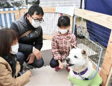 保護された犬を見つめる家族連れ＝熊本市北区