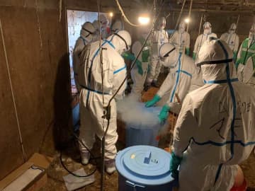 【速報】八街の養鶏場で鳥インフル、6万6千羽の殺処分開始　千葉県内、今季2例目