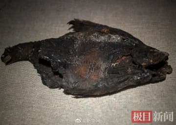 湖北省博物館の「2000年前の塩漬魚」が人気に―中国