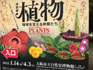 想像以上にアクティブでミステリアス…植物の不思議な生態に迫る人気の特別展　大阪市立自然史博物館