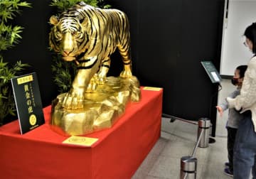 金箔約1900枚「黄金の虎」がお出迎え　6千万円のサッカーボールも　船橋東武で金製品の展示販売会