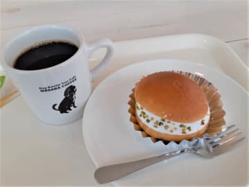 ドッグ・バリアフリー・カフェ「茂原珈琲」に期間限定でピスタチオのマリトッツォ登場！こだわりコーヒーと相性抜群！