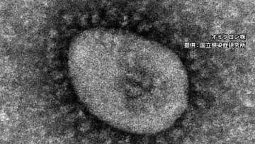 【速報】新型コロナ　全国の死者 5日連続で200人上回る　大阪31人 東京27人 愛知24人(確定値）