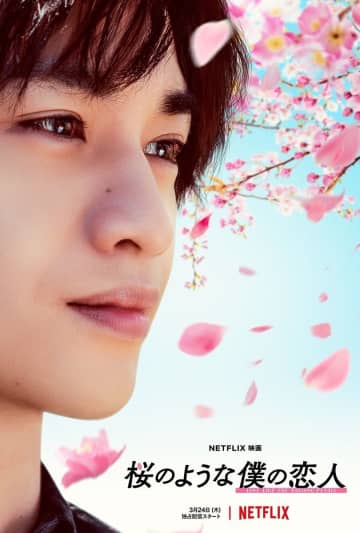 Mr.Children、中島健人×松本穂香『桜のような僕の恋人』主題歌を書き下ろし
