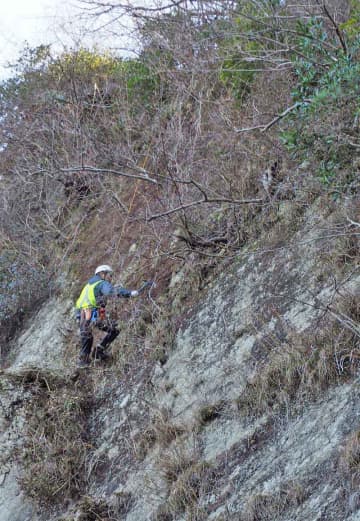 「ラピュタの壁」きれいに　鋸山産業遺構の石切り場跡　日本遺産候補認定で弾み