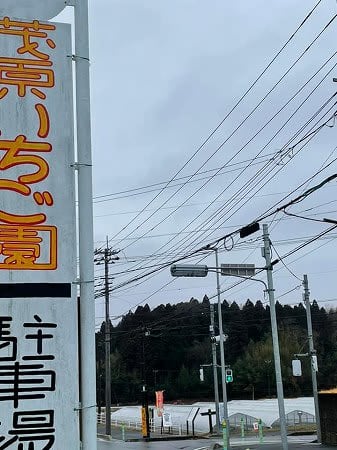今月から大人1700円でお得！多種類食べ比べで大満足の茂原いちご園＠茂原市
