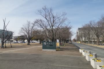 東京大学の中にある寿司店が安くて激ウマ　珍しい地魚も食べられる