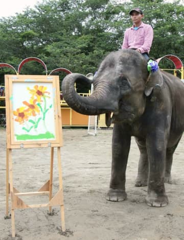 ゾウが描いた絵の売上寄付、千葉　「ウクライナの動物助けたい」