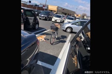 スーパーの駐車場、放置された物に目を疑う…　モラルなき光景に「酷すぎる」の声