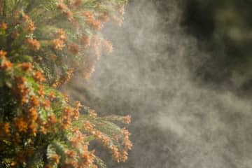 辛い花粉症への即効対処法6　目のかゆみには「冷やし目薬」