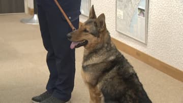 行方不明者を発見　警察犬に感謝状